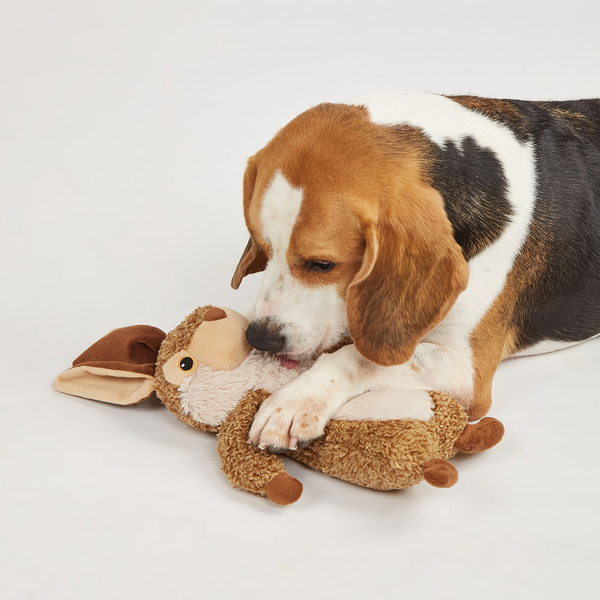 Barkbutler x Fofos Wildlife Rabbit Plush Toy for Dogs