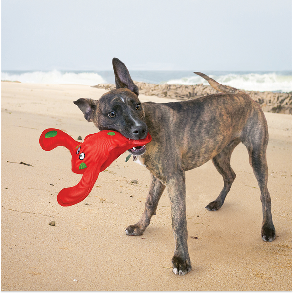 Kong Belly Flops Lobster Toy for Dogs