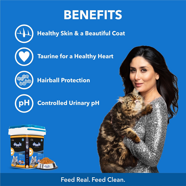 Drools Real Chicken Adult Cat Dry Food