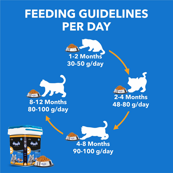 Drools Real Chicken Adult Cat Dry Food