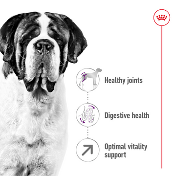 Royal Canin Giant Adult Dog Dry Food