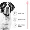 Royal Canin Giant Adult Dog Dry Food Dogs- Dry Food Royal Canin