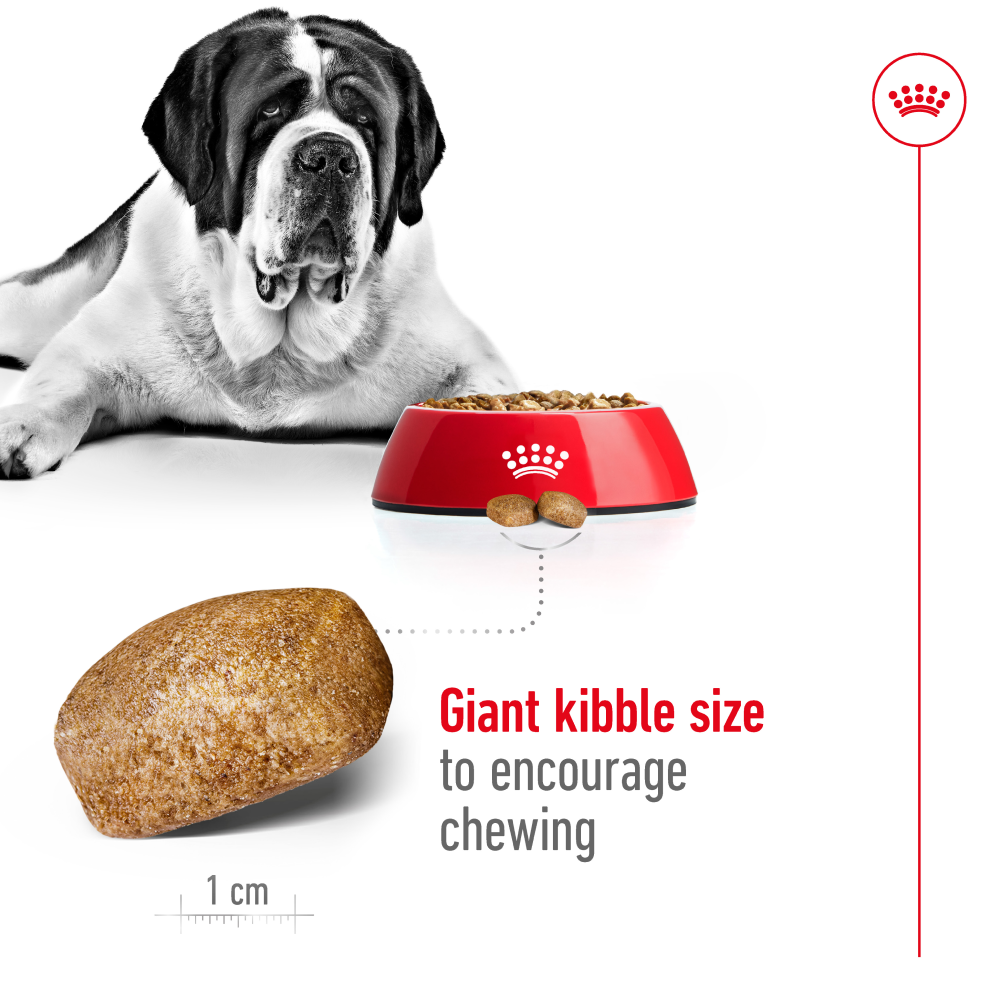 Royal Canin Giant Adult Dog Dry Food