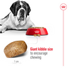 Royal Canin Giant Adult Dog Dry Food Dogs- Dry Food Royal Canin