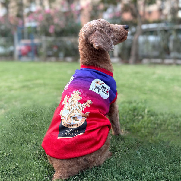 Pets Way Royal Canines Bengaluru Team Jersey Vest for Dogs | Indian Pet League