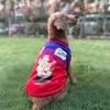 Pets Way Royal Canines Bengaluru Team Jersey Vest for Dogs | Indian Pet League Dogs-Clothing & Accessories Pets Way Dropship XS