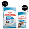 Royal Canin Giant Puppy Dry Food and Maxi Puppy Dog Wet Food Combo Exclusive Combo Royal Canin 3.5kg(Dry)+10x140g(Wet)