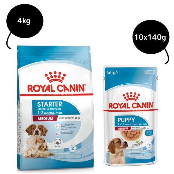 Royal Canin Medium Starter Dry Food for Medium Breed Dog and Puppies and Medium Puppy Dog Wet Food Combo