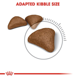Royal Canin Hair & Skin Care and Hairball Care Adult Cat Dry Food Combo