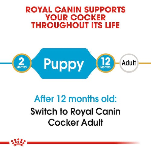 Royal Canin Cocker Puppy Dry Food