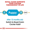 Royal Canin Cocker Puppy Dry Food Dogs- Dry Food Royal Canin
