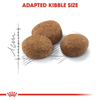 Royal Canin Regular Sterilised/Neutered 7+ Adult Cat Dry Food Cats- Dry food Royal Canin