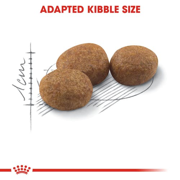 Royal Canin Sterilised/Neutered 37 Adult Cat Dry Food