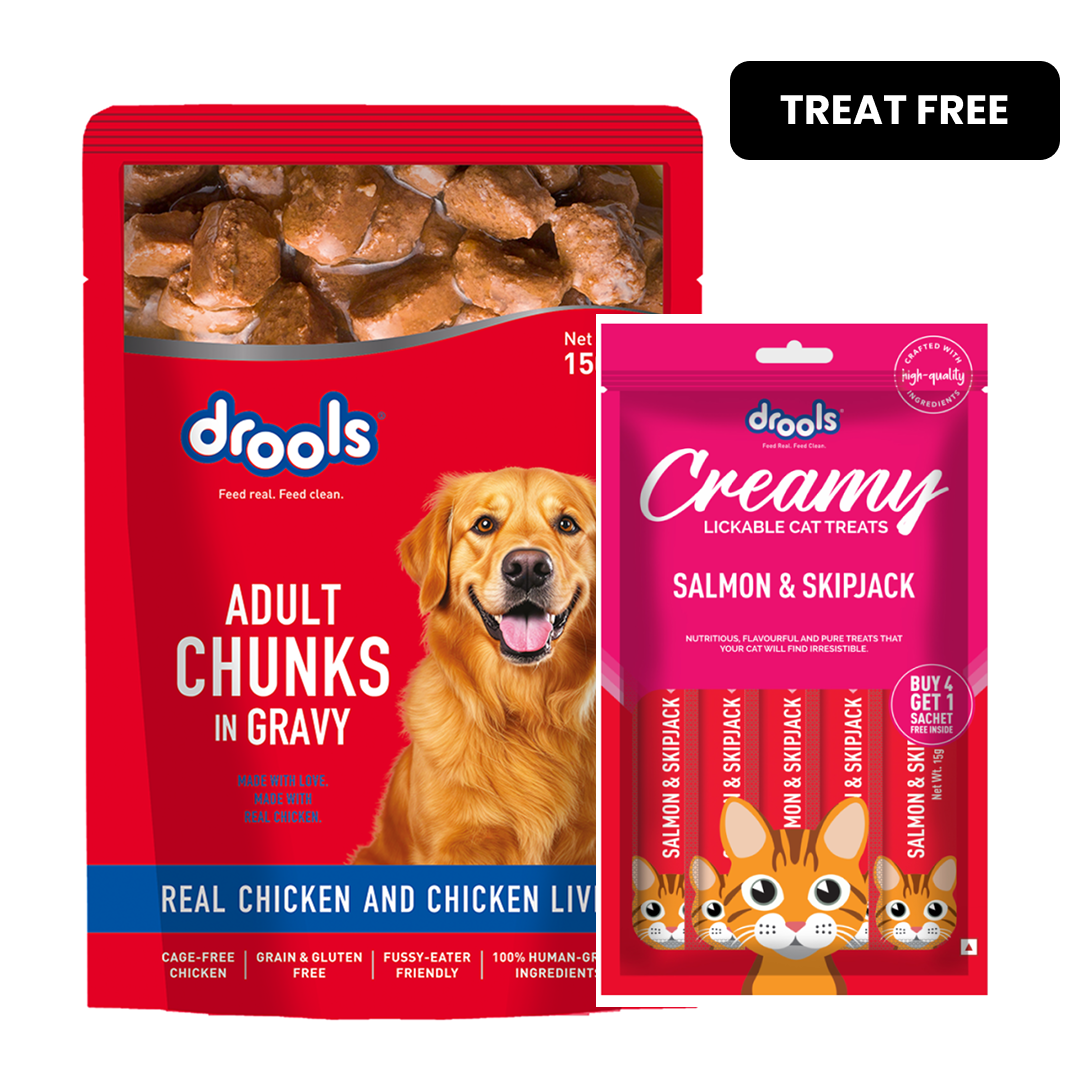 Drools Real Chicken & Chicken Liver Chunks in Gravy Adult Dog Wet Food