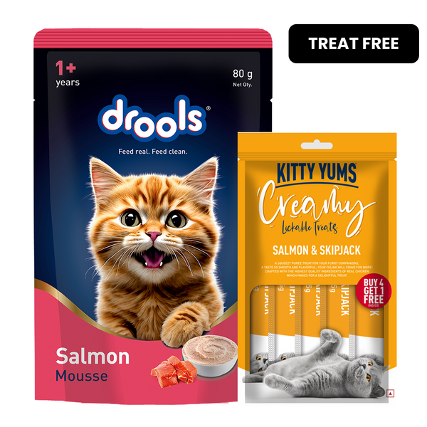 Drools Salmon Mousse Adult Cat Wet Food