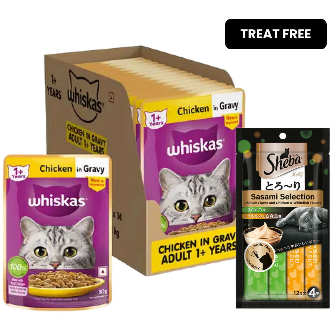 Whiskas Chicken in Gravy Adult Cat Wet Food Cats-Wet Food Whiskas