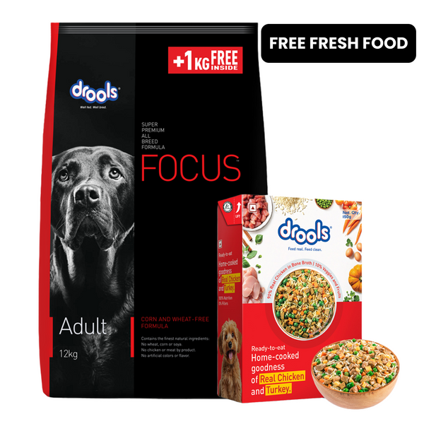Drools Focus Super Premium Adult Dog Dry Food | Corn & Wheat Free Formula