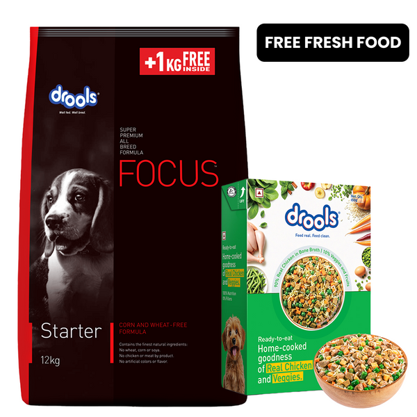 Drools Focus Super Premium Starter Dog Dry Food | Corn & Wheat Free Formula