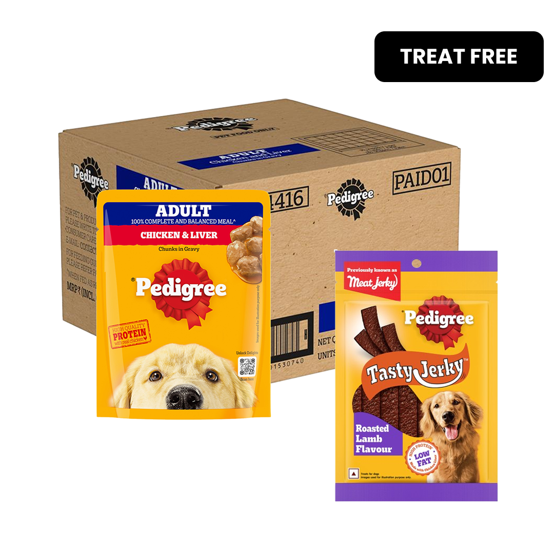 Pedigree Chicken and Liver Chunks in Gravy Adult Dog Wet Food (70g) Dogs-Wet Food Pedigree