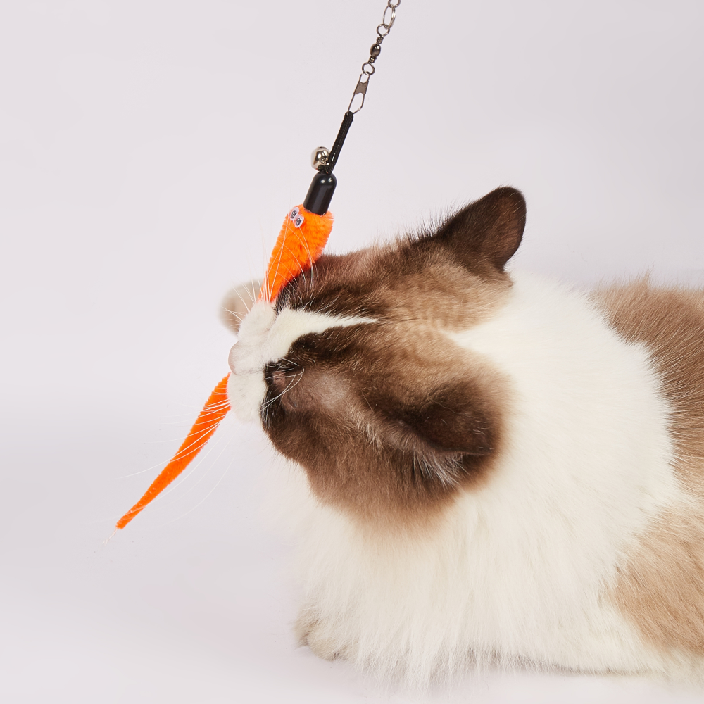 Barkbutler x Fofos Retractable Worm Teaser Toy with Catnip for Cats Cats-Toys Barkbutler
