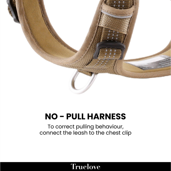 Truelove Escape proof harness for Dogs (Pool Blue)