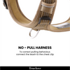 Truelove Escape proof harness for Dogs (Pool Blue) Both-Collar, Leashes, harnesses True Love