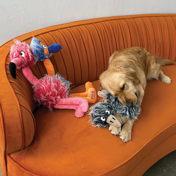 Kong Comfort Jumbo Birds Toy for Dogs (Pink)