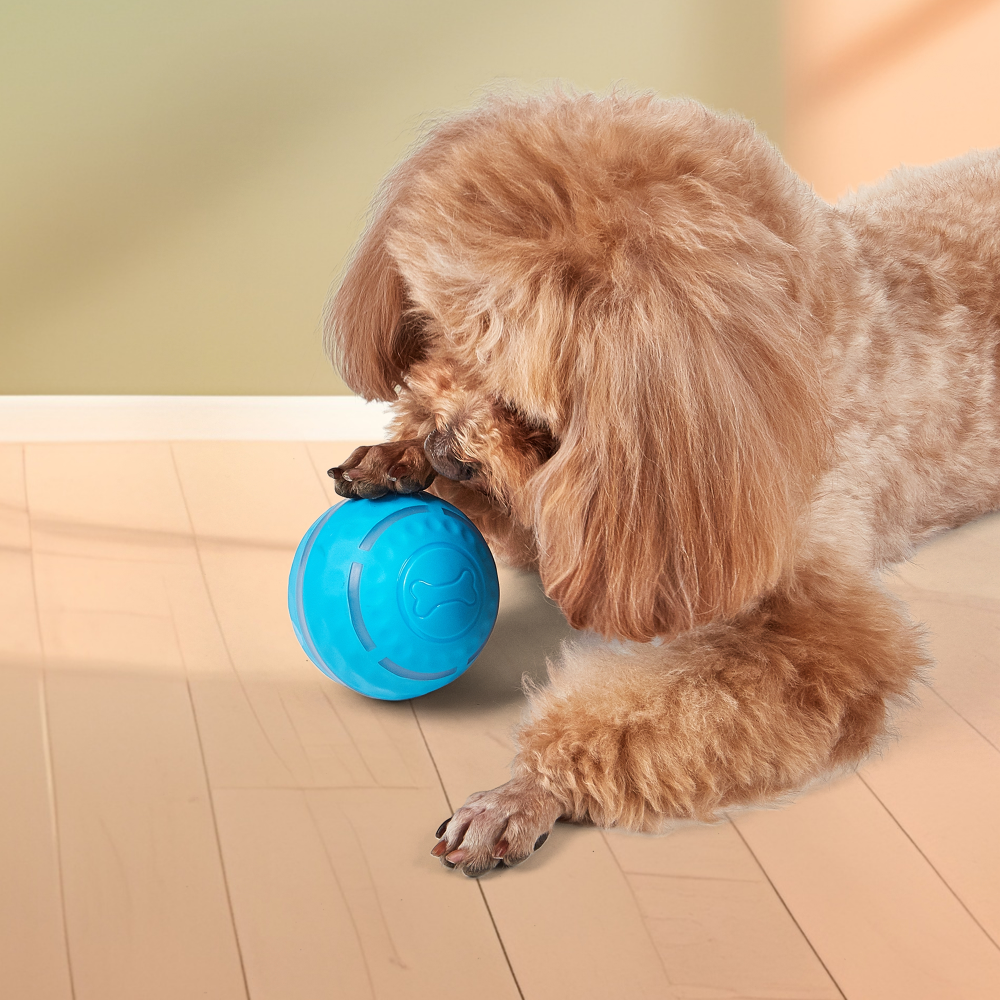 FOFOS Rechargeable Rolling Ball Smart Toy for Dogs Dogs-Toys Barkbutler