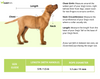 HUFT Xplorers Rope Leash for Dogs (Orange) Dogs-Collar, Leashes, harnesses Heads Up for Tails