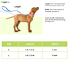 Ruffwear Knot a Leash  Rope Leash for Dogs (Lichen Green)