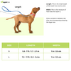 Ruffwear Roamer Bungee Leash for Dogs (Granite Gray)