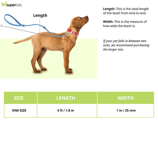 Ruffwear Flat Out Leash for Dogs (Fall Mountains)