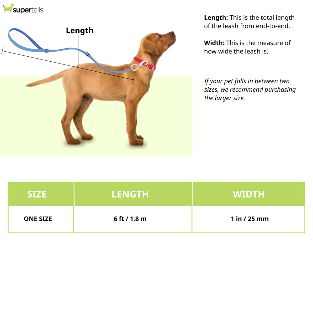 Ruffwear Flat Out Leash for Dogs (Alpenglow Burst)