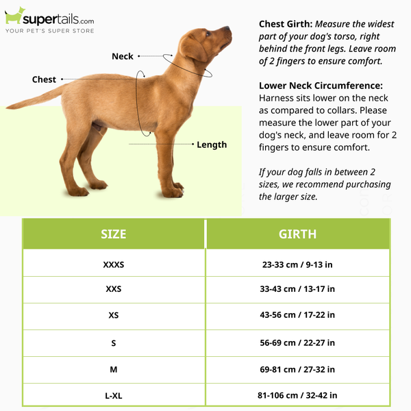 Ruffwear Hi & Light Harness for Dogs (Lichen Green)