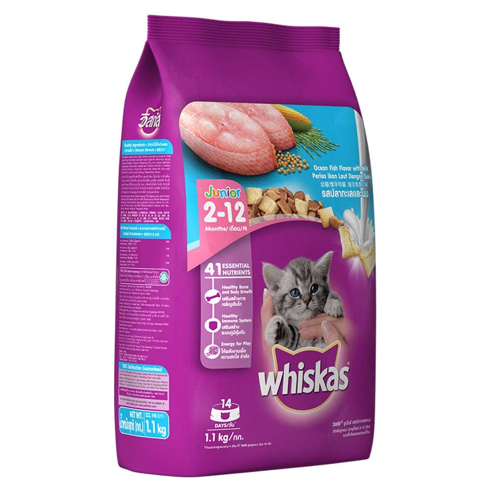 Whiskas Ocean Fish and  Mackerel Flavour Kitten Cat (2 to 12 months) Dry Food Combo