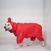 Skatrs RainRider Pro Reflective Waterproof Dog Raincoat (Red) Dogs-Clothing & Accessories Skatrs