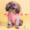 The Papaw Cartel Raw Silk Ethnic Koti with White Banarasi Kurta for Dogs & Cats (Pink) Both-Clothing & Accessories The Papaw Cartel Dropship
