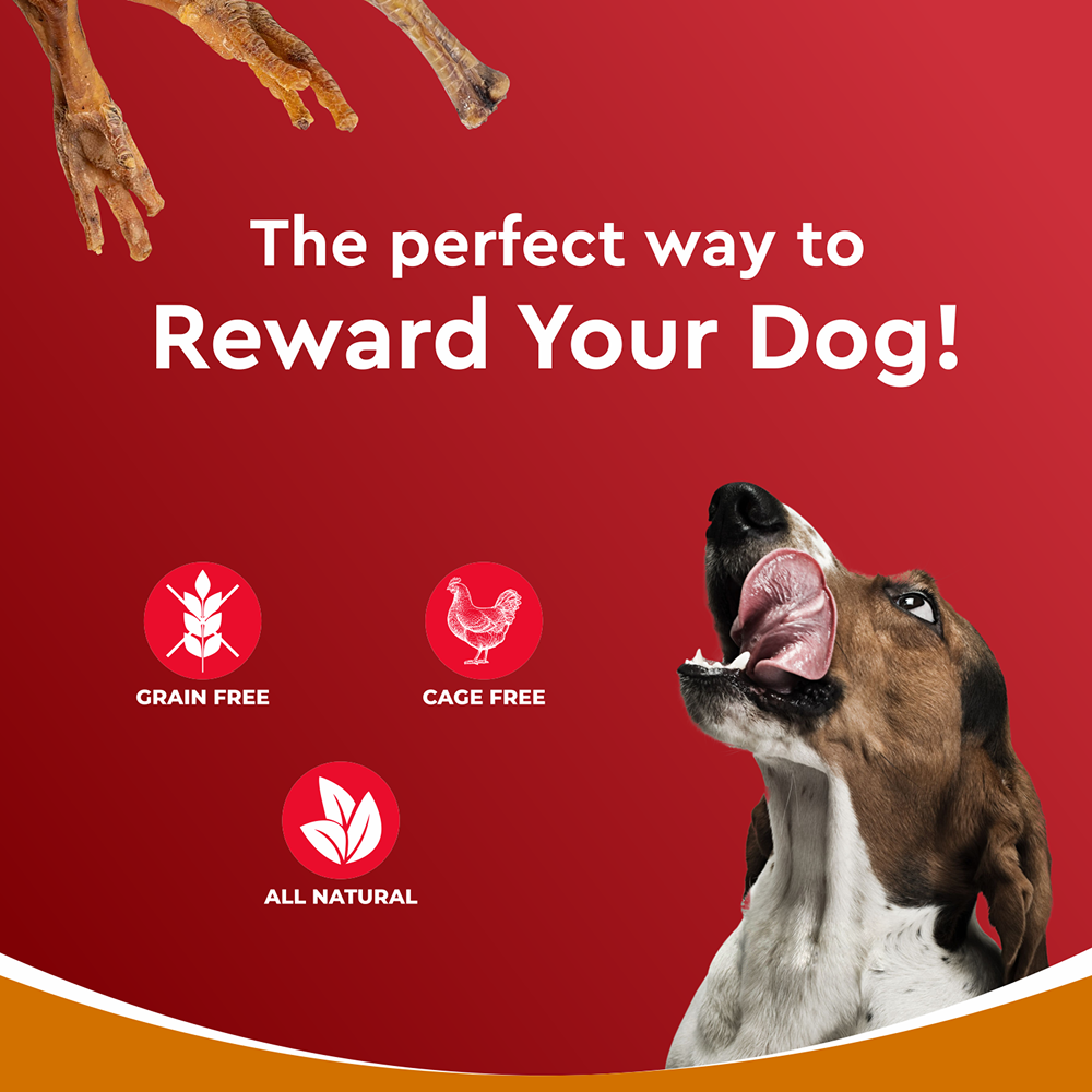 Drools Dehydrated Real Chicken Feet Chews Treat for Dogs Dog Treats + Others Drools