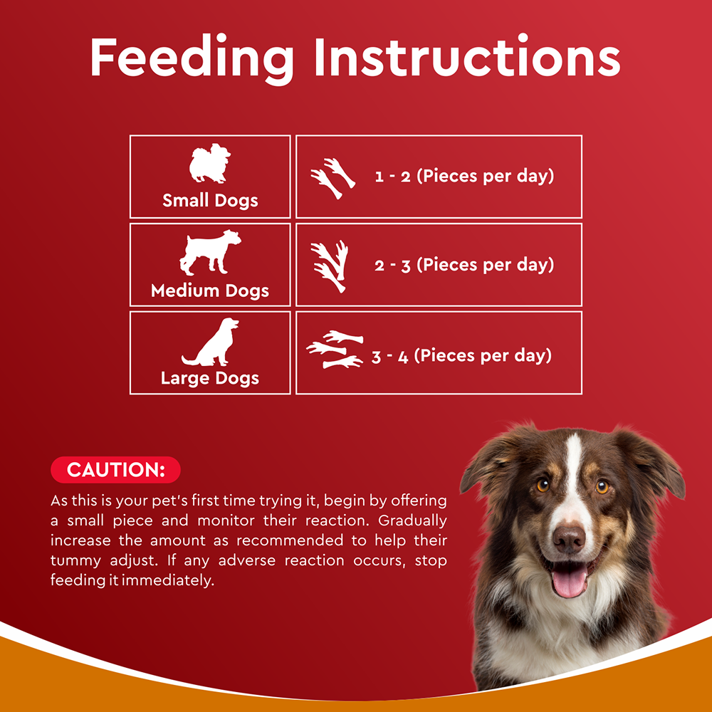 Drools Dehydrated Real Chicken Feet Chews Treat for Dogs Dog Treats + Others Drools