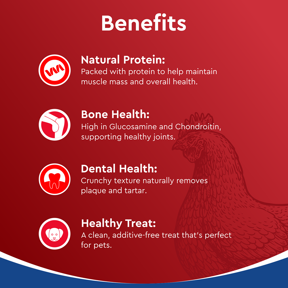 Drools Dehydrated Real Chicken Necks Chews Treat for Dogs Dog Treats + Others Drools
