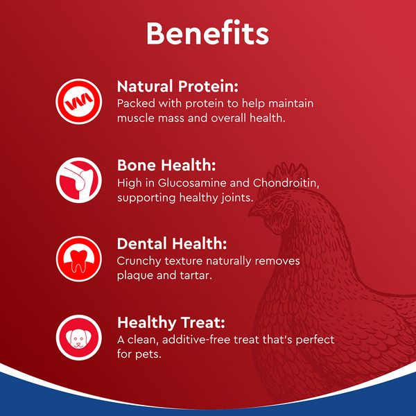 Drools Dehydrated Real Chicken Necks Chews Treat for Dogs