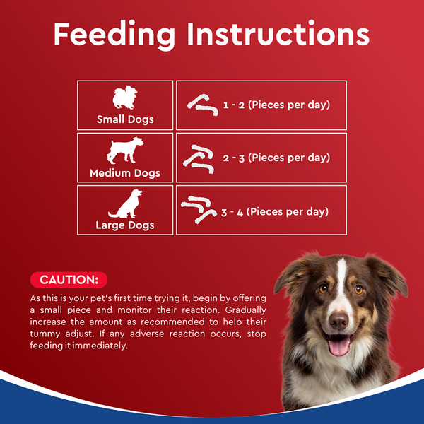 Drools Dehydrated Real Chicken Necks Chews Treat for Dogs