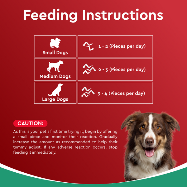 Drools Dehydrated Real Chicken Wing Chews Treat for Dogs
