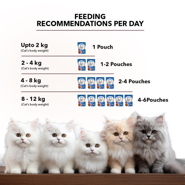 Active Real Chicken & Chicken Liver in Gravy Adult Cat Wet Food ( Buy 1 Get 1)