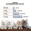 Active Real Chicken & Chicken Liver in Gravy Adult Cat Wet Food ( Buy 1 Get 1) Cats-Wet Food Active