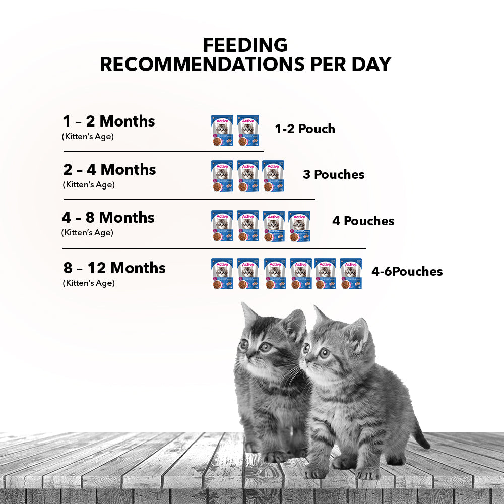 Active Real Chicken & Chicken Liver in Gravy Kitten Cat Wet Food ( Buy 1 Get 1) Cats-Wet Food Active