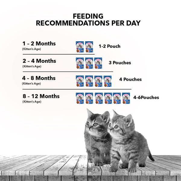 Active Real Chicken & Chicken Liver in Gravy Kitten Cat Wet Food ( Buy 1 Get 1)