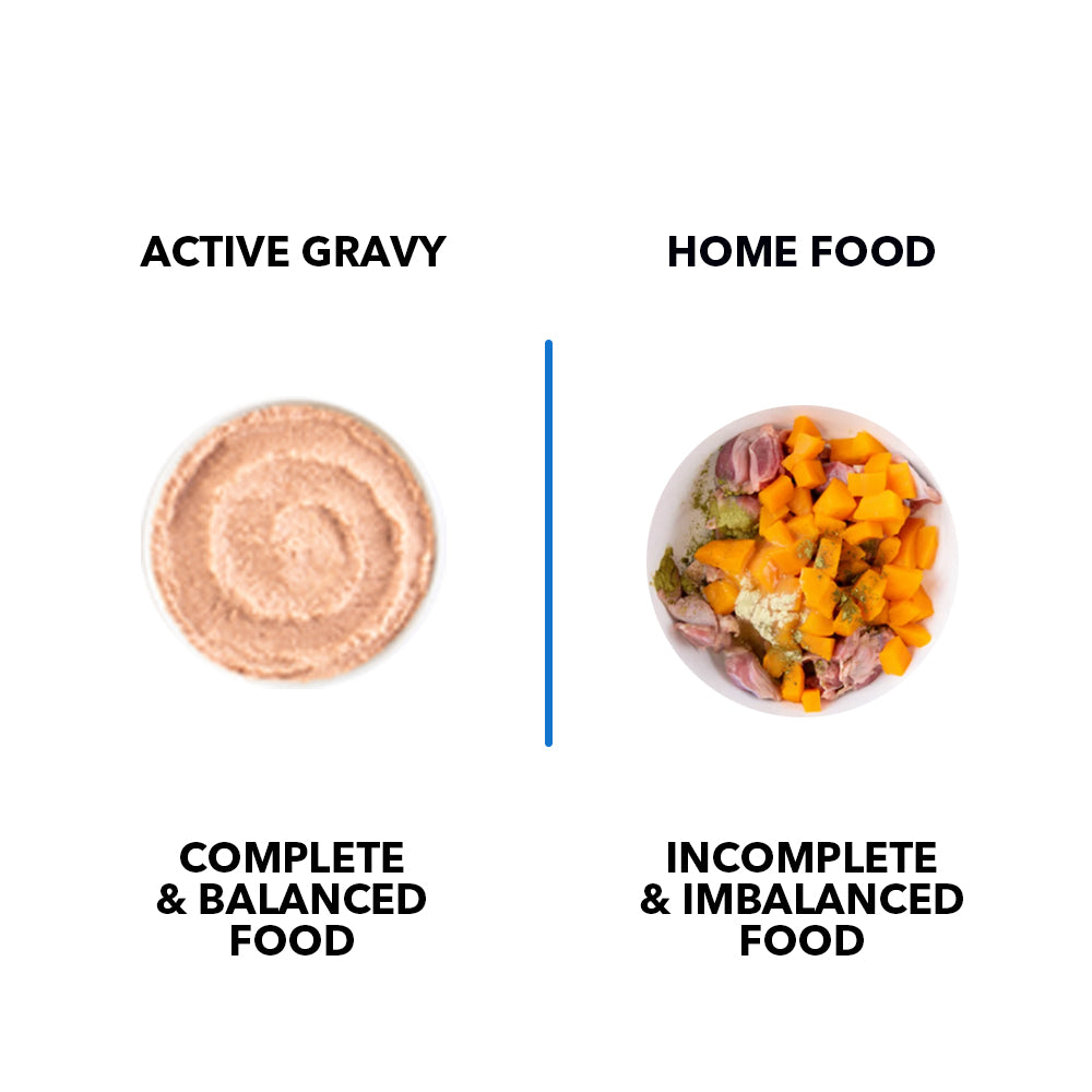 Active Real Chicken & Chicken Liver in Gravy Kitten Cat Wet Food ( Buy 1 Get 1) Cats-Wet Food Active