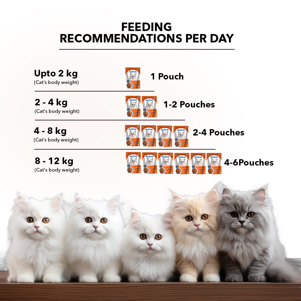 Active Real Salmon Fish in Gravy Adult Cat Wet Food ( Buy 1 Get 1 ) Cats-Wet Food Active