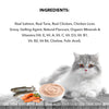 Active Real Salmon Fish in Gravy Adult Cat Wet Food ( Buy 1 Get 1 ) Cats-Wet Food Active